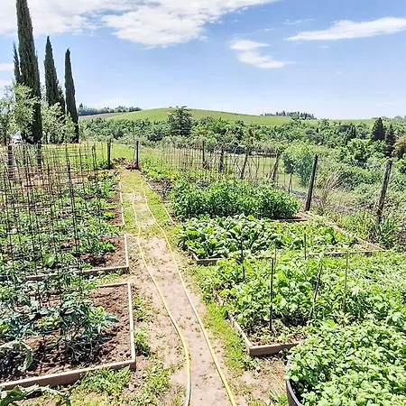 San Regolo-1 By Interhome Gaiole in Chianti